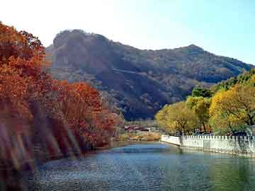 新澳天天开奖资料大全旅游团，单挑机